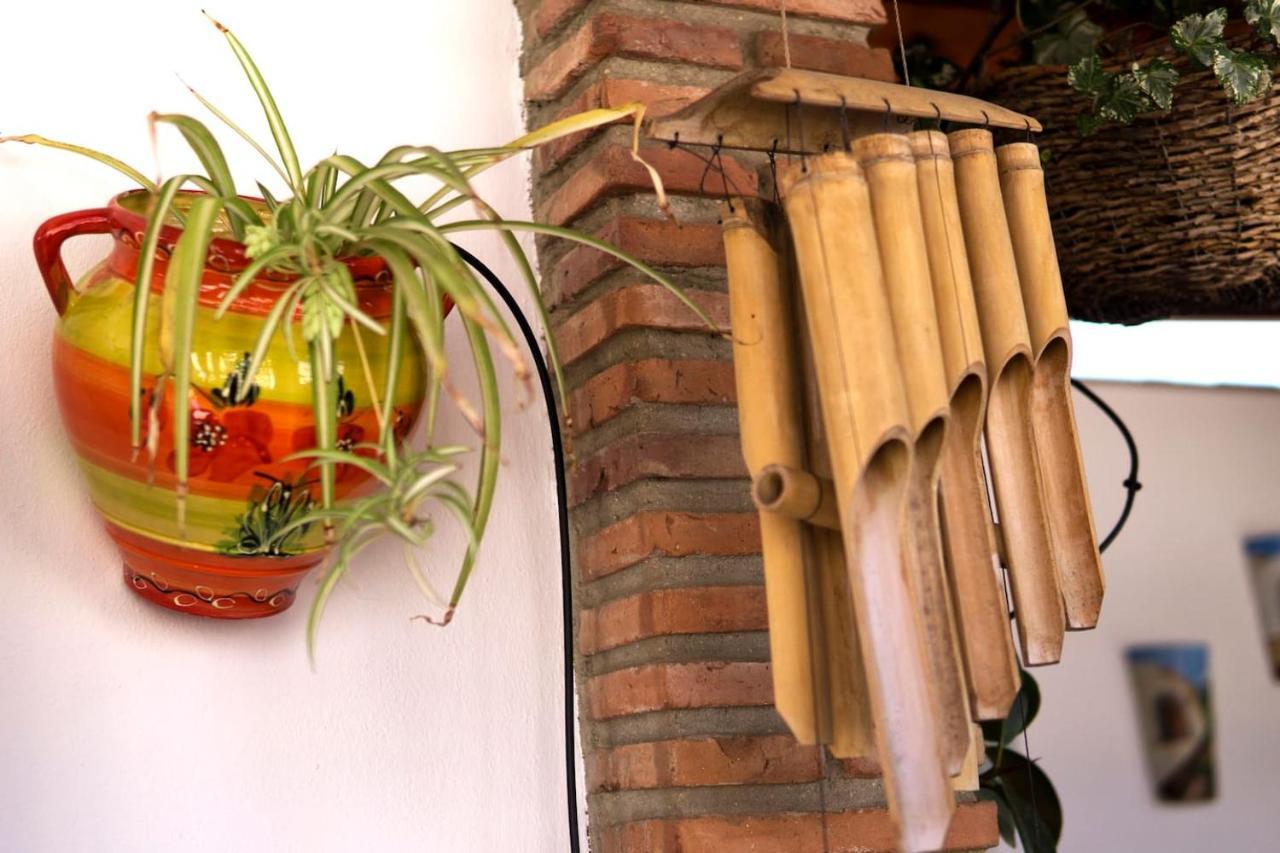 Mcgomez House Apartment Malaga Exterior photo